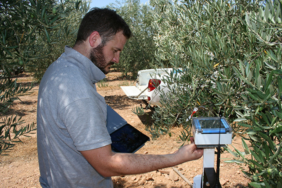 Corteva agricultura innovacion