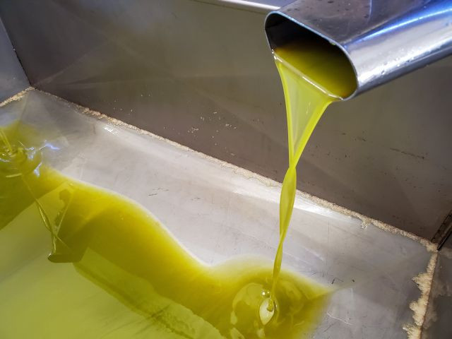 Almazara aceite aica oleo  1