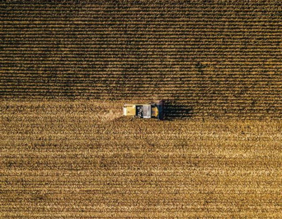 Gestion riesgos agricultura oleo