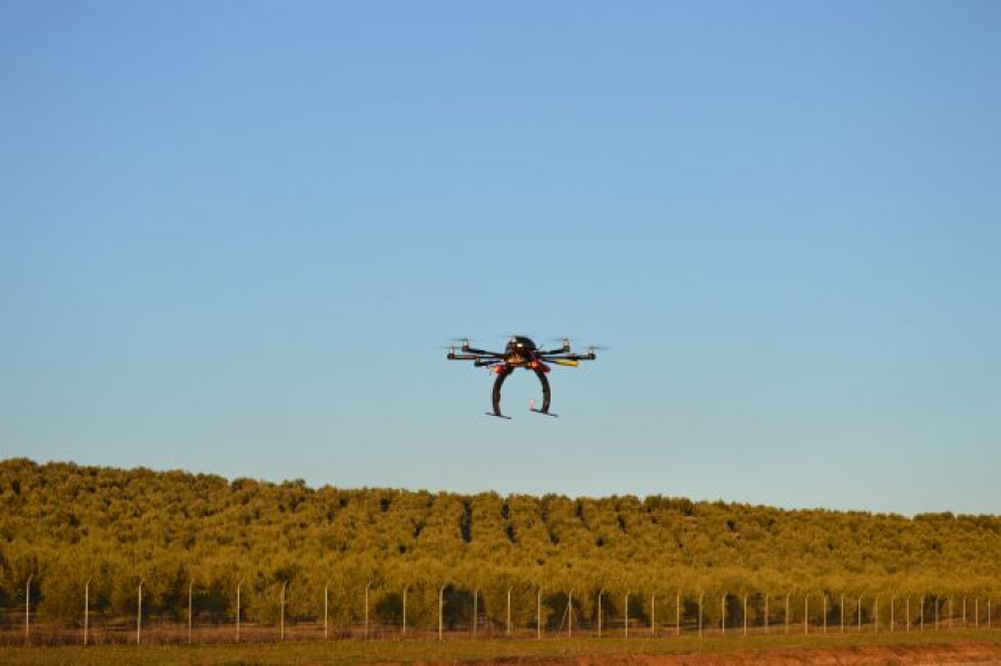 Drones olivar asaja uja oleo