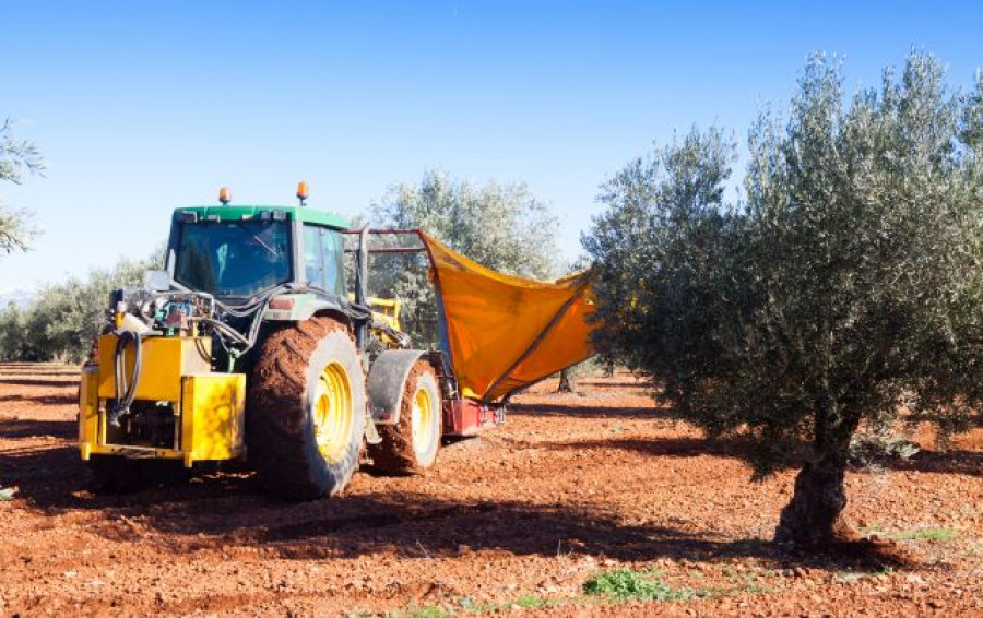 Tractorrecogida olivar oleo