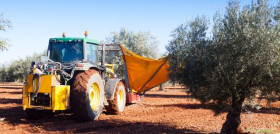Tractorrecogida olivar oleo