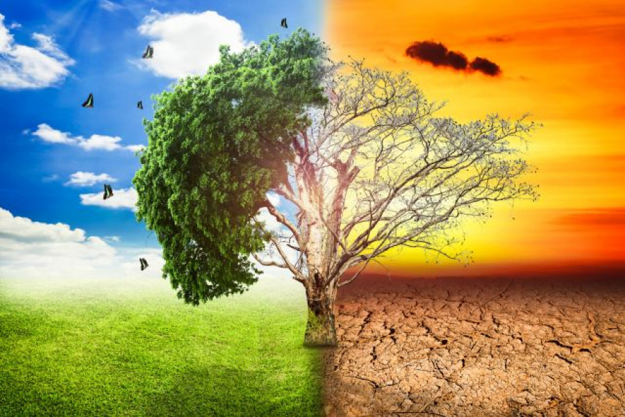 Cambio climatico agri adapt eu oleo