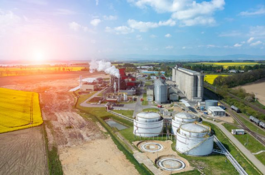 Planta bioetanol precios alimentos fao oleo
