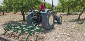 Olivar murcia maquinaria antiguedad oleo