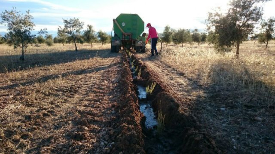 Foto4 alveval 4799