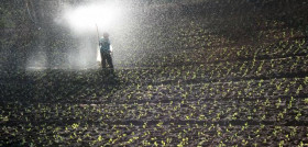 Fertilizantes 4590