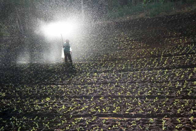 Fertilizantes 4590