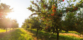 Extremadura