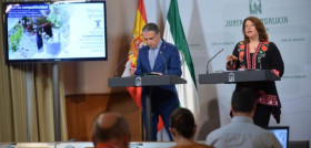 Junta andalucia 4566