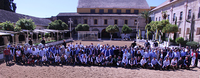 Convencionnewholland 4544
