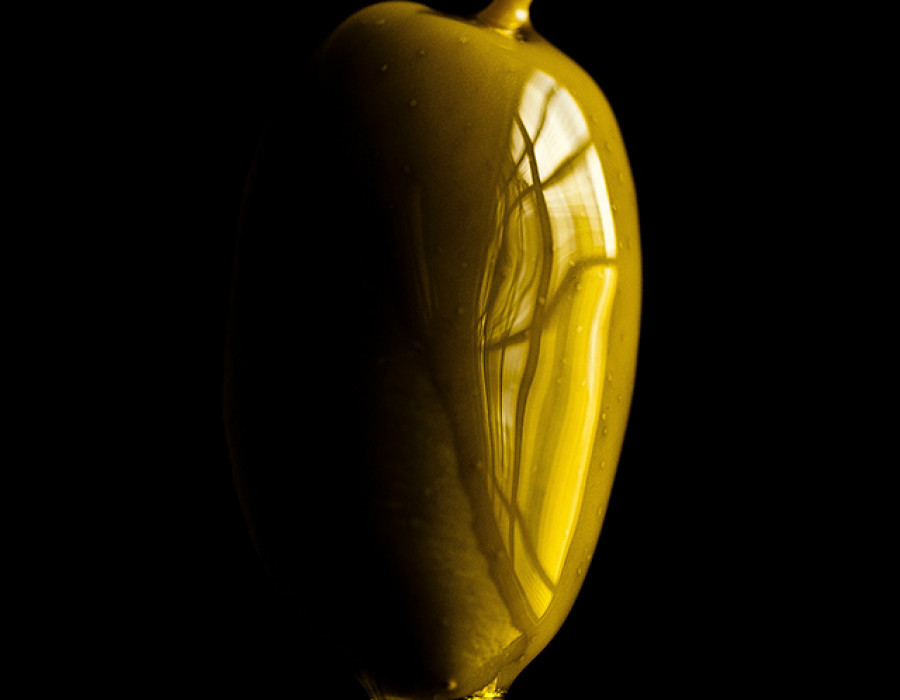 Citoliva noche 4205