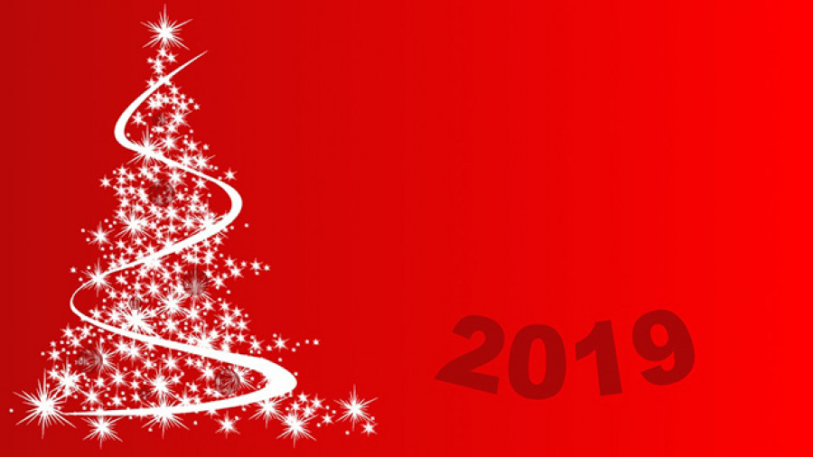 2019oleo 4194