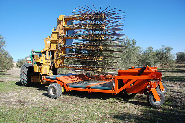 Datagriinnolivar 4167