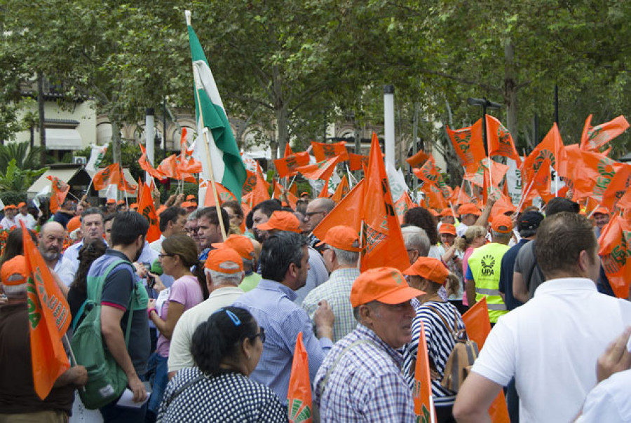 Manifestacionupa 4119