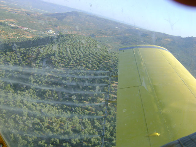 Dopsegura mosca 4122