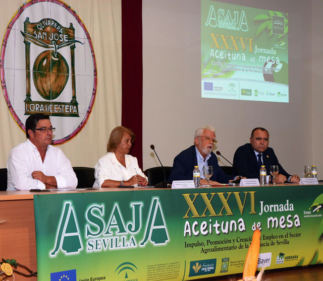 Asajasevilla 4126