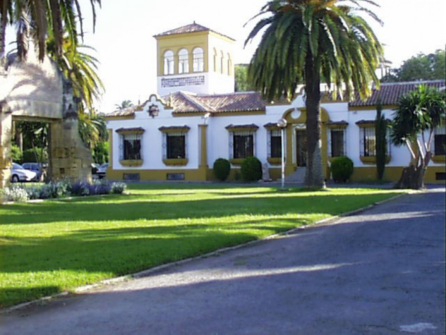 Ifapa 4082
