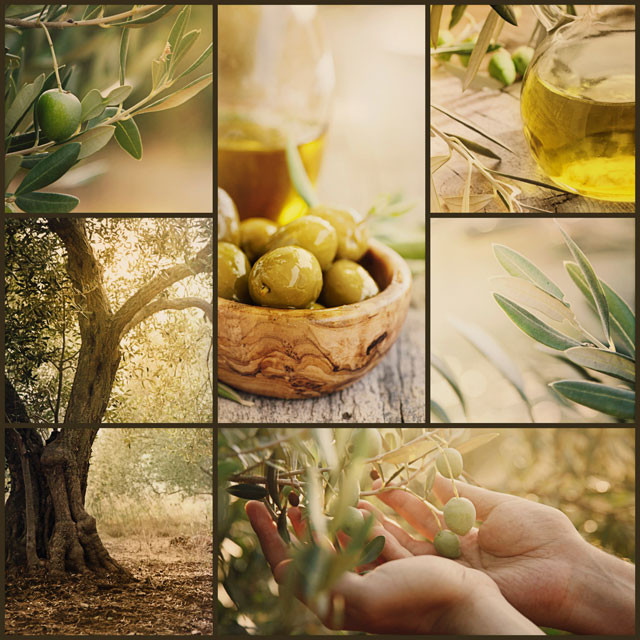 Collageaceiteolivas123rf 4042