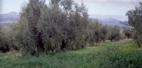 23oli73 3953