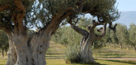 Hacienda queiles