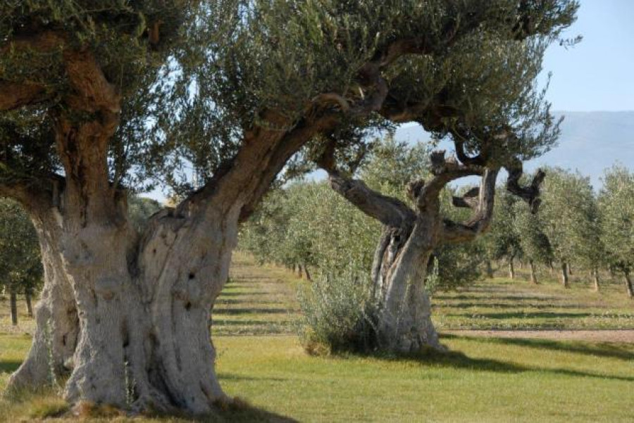 Hacienda queiles