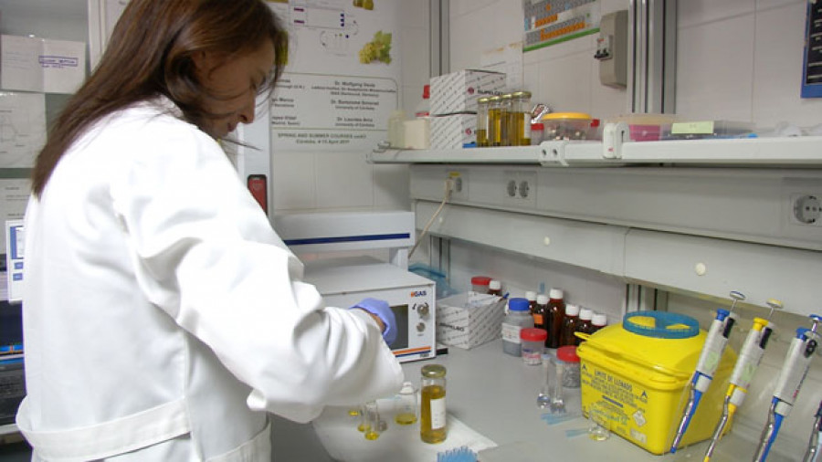 Aceites oliva esp 3903