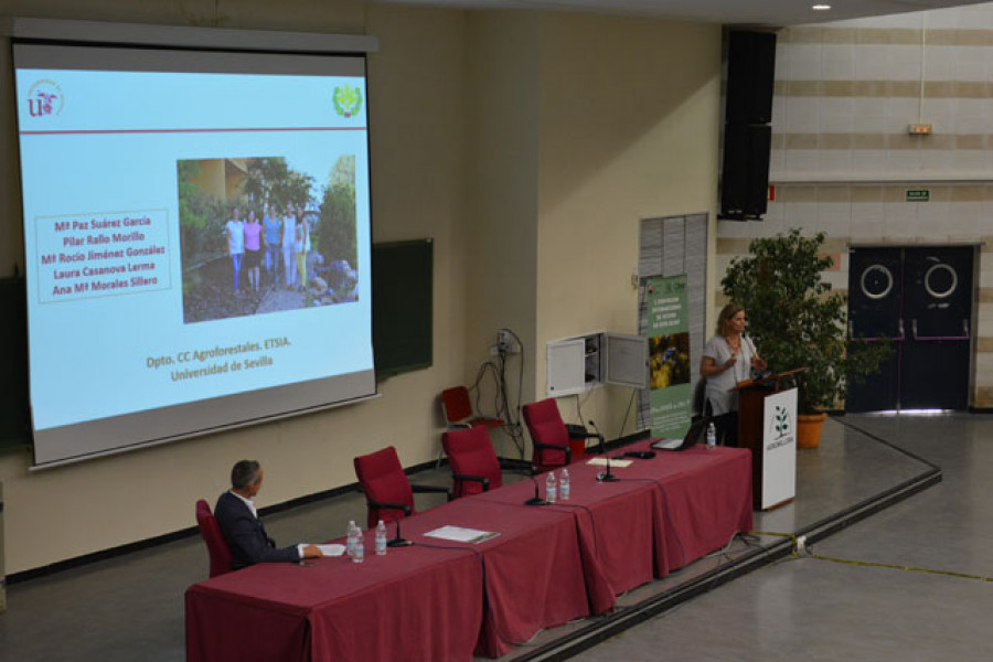 Agromillora 3872