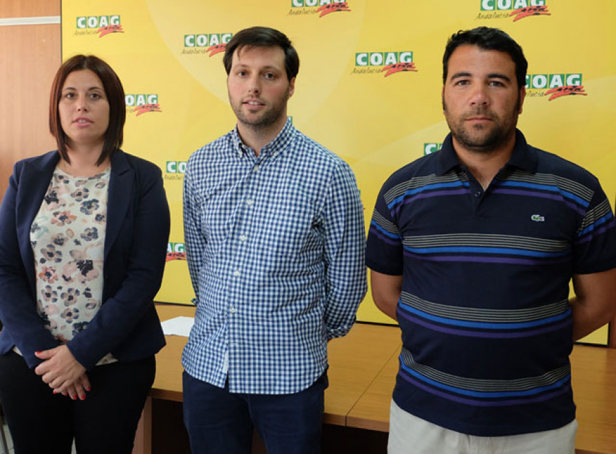 Coagand 3837