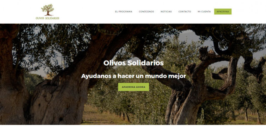 Olivos solidarios 3809