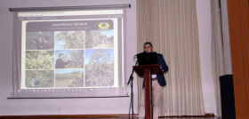 Manuel cera explica el olivar en seto.todolivo 3780