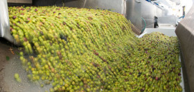Aceitesolivaesp 3726