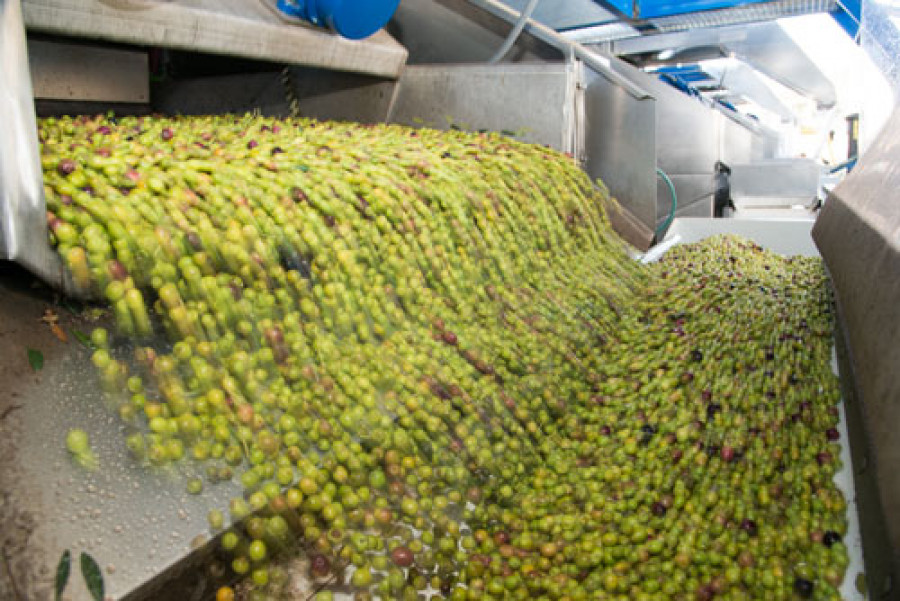 Aceitesolivaesp 3726