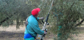 Coag andalucia 3688