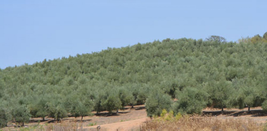 Extremadura 3671
