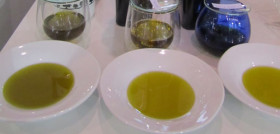 Aove restaurante