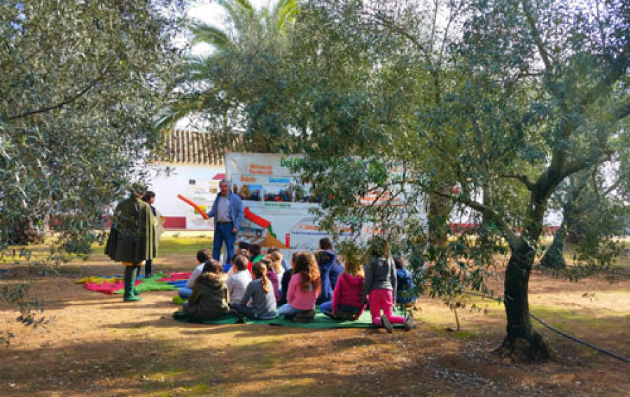 Fundacionjuanramong 3647