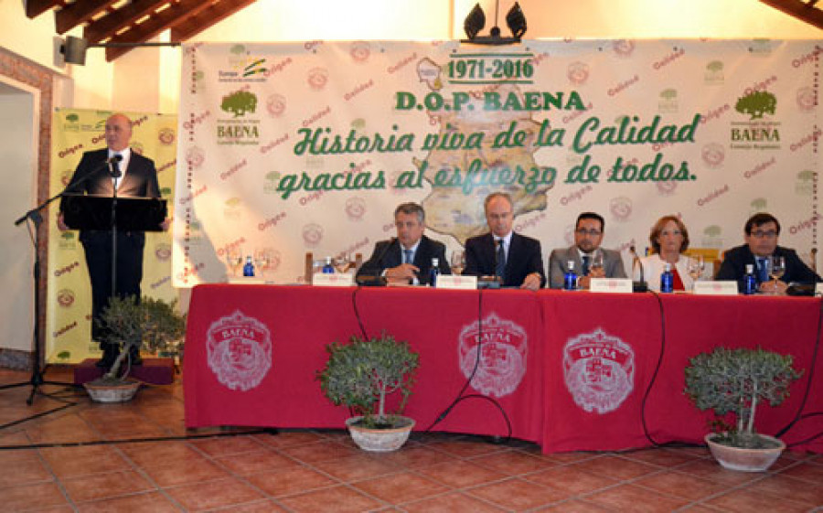 Dipucordoba 3635