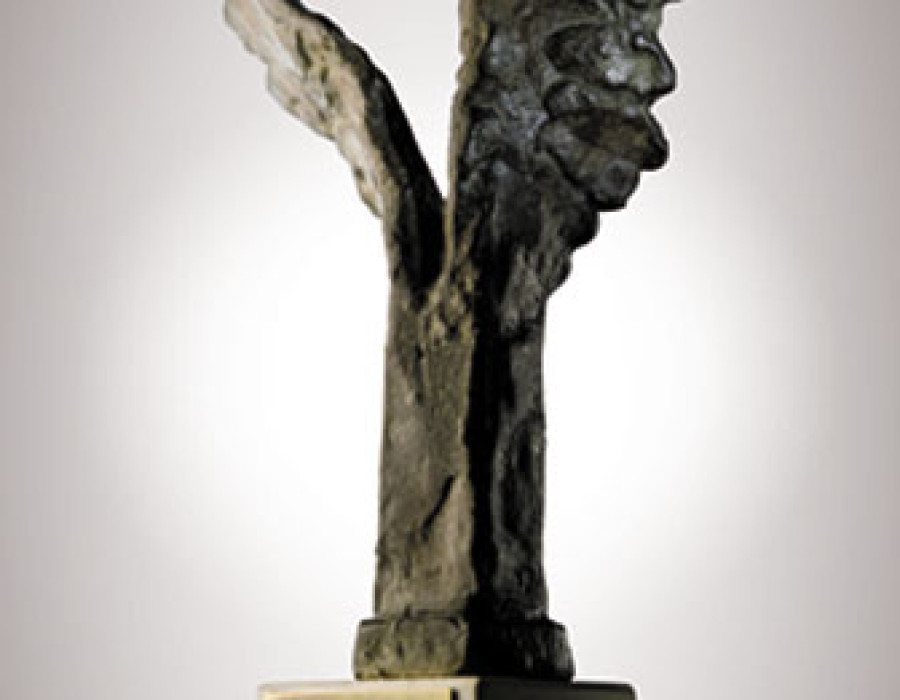 Premios alas 3578
