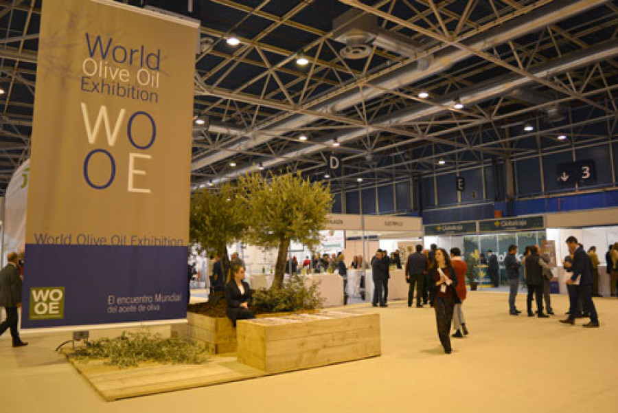 Wooe 3559