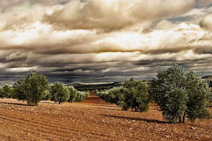 Aceitedemipueblo 3429