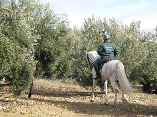 Asaja jaen 3409