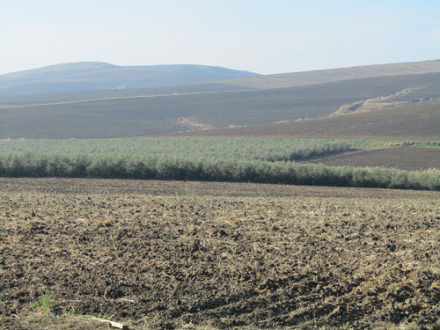 Seguro 3400