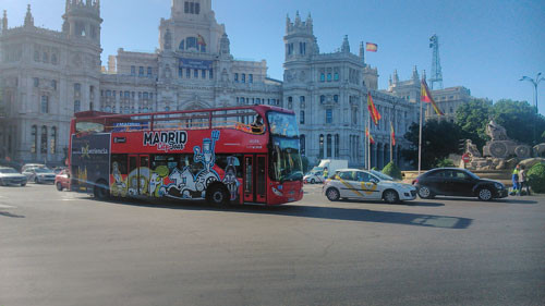 Buses aceites oliva3377