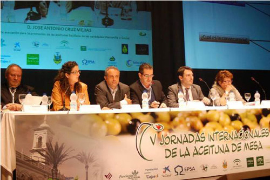 Jornadas aceituna 3258