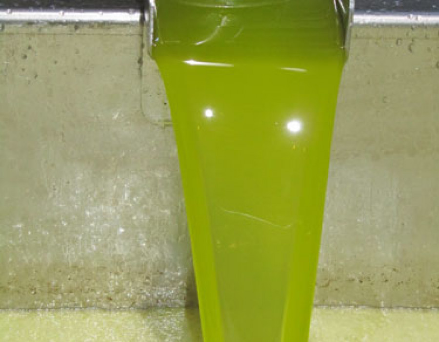 Infaoliva 3247