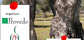 Aceitedemadrid 3216