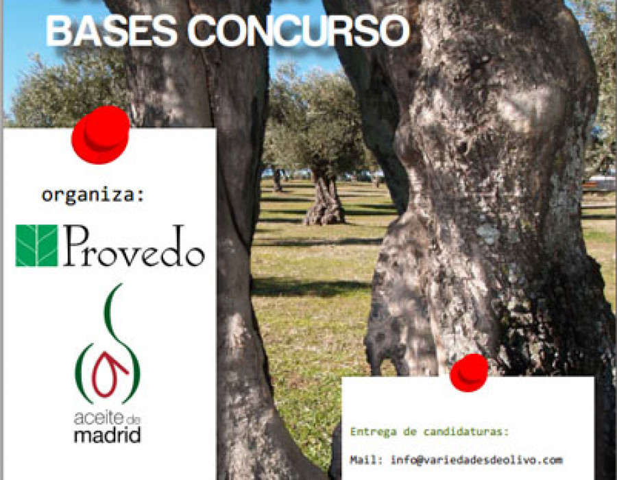 Aceitedemadrid 3216