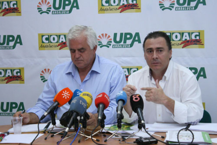 Upaandalucia 3190