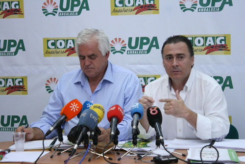 Upaandalucia 3190